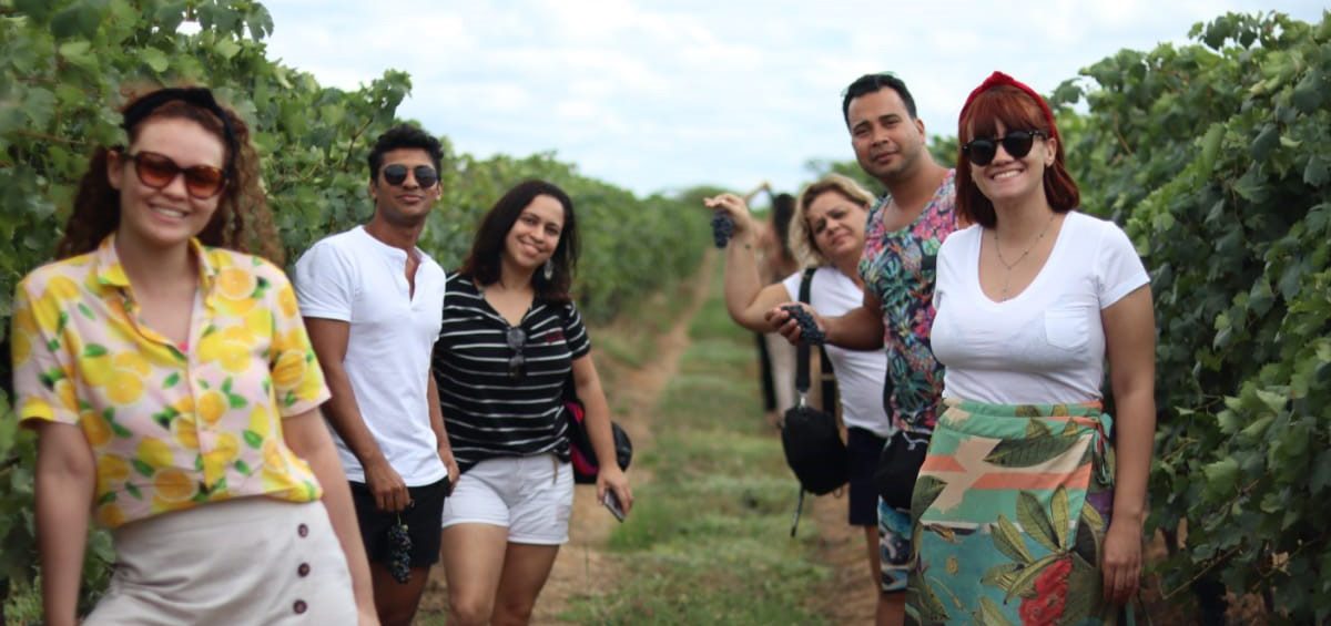 Alunos de Gastronomia da Faculdade Senac fazem visita técnica à vinícola Rio Sol